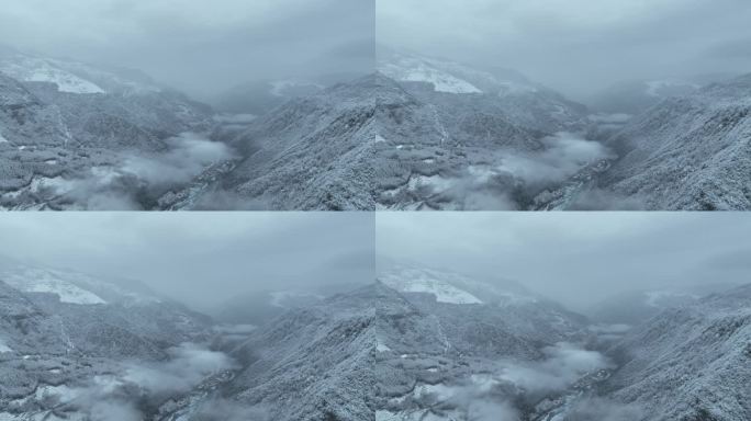 高空航拍大山之中雪景云层之上森林积雪大雾