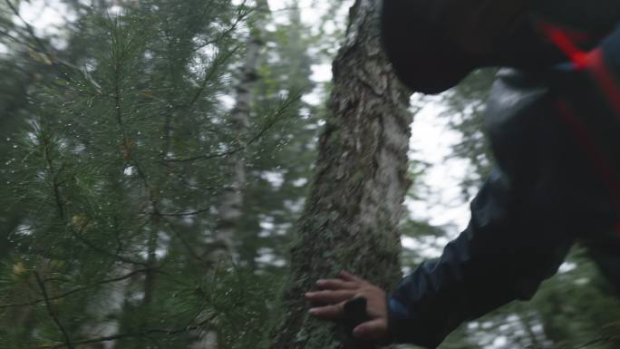 森林里男子在雨中打灯探索寻找方向