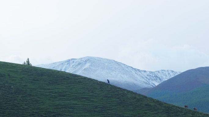 男人不屈登顶雪山向上攀登