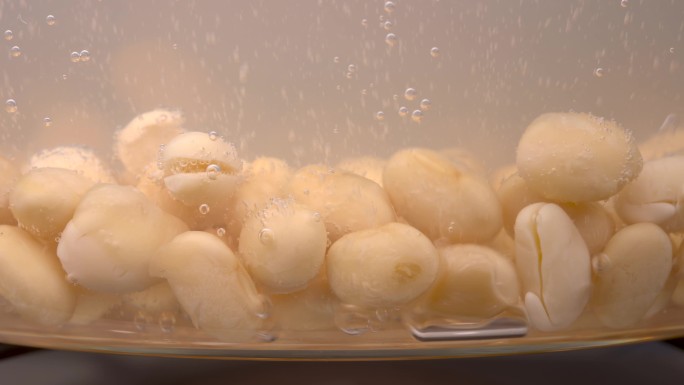 黄豆大豆在透明容器里煮冒气泡