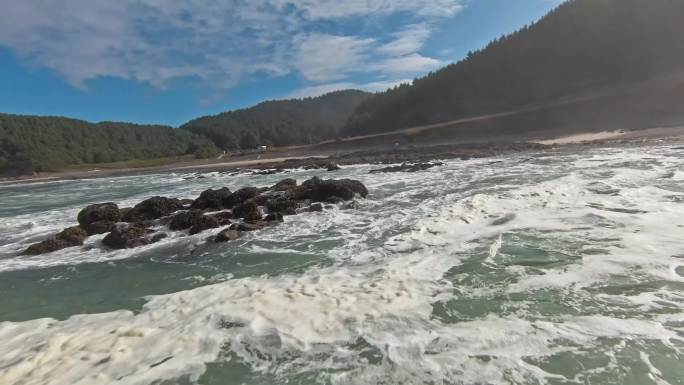 FPV穿越机无人机航拍海浪沙滩海岸森林鸟