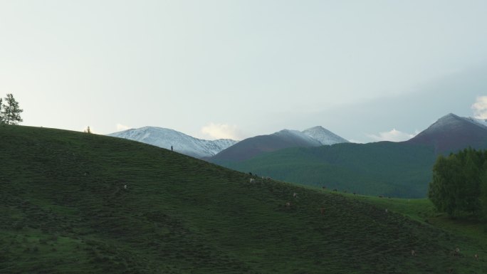 男人登顶雪山向上攀登