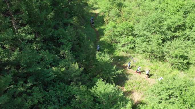 大自然越野跑阿那亚崇礼航拍风光树林4k