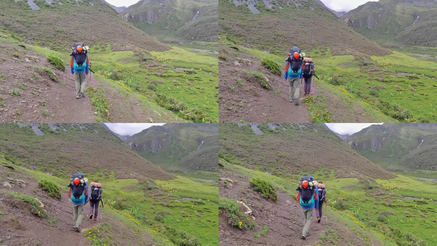 攀登阿沙贡格雪山的登山者徒步行走在花海中