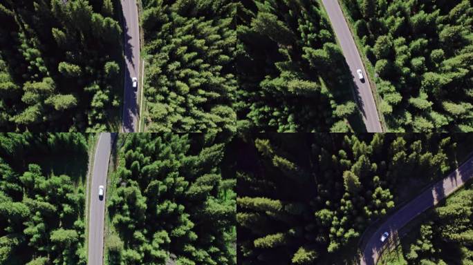 航拍汽车行驶在森林公路上