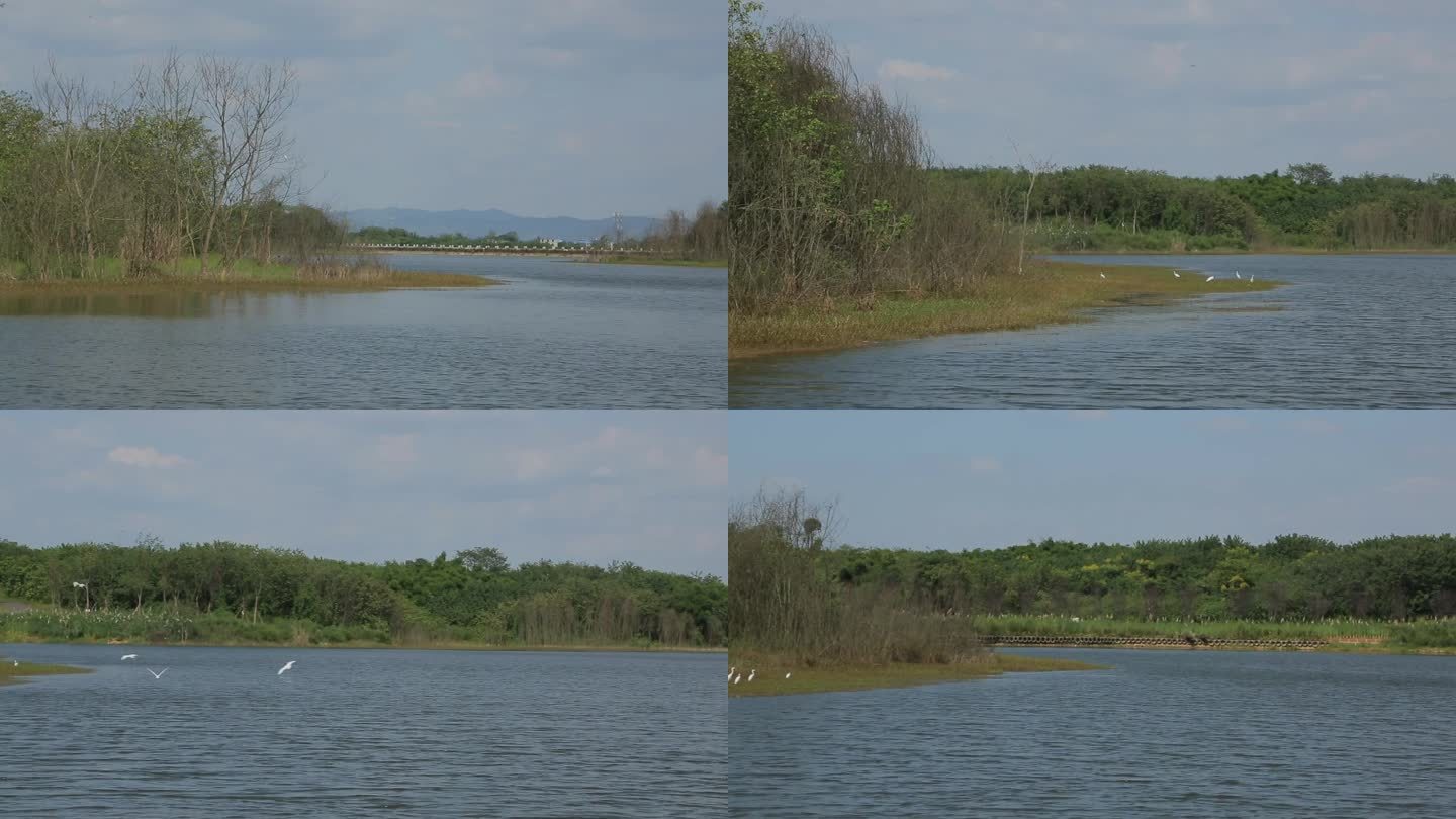 C四川成都湿地高清实拍视频