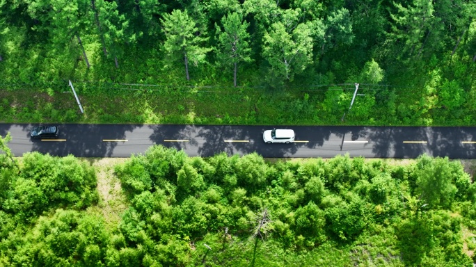 汽车行驶在户外森林公路