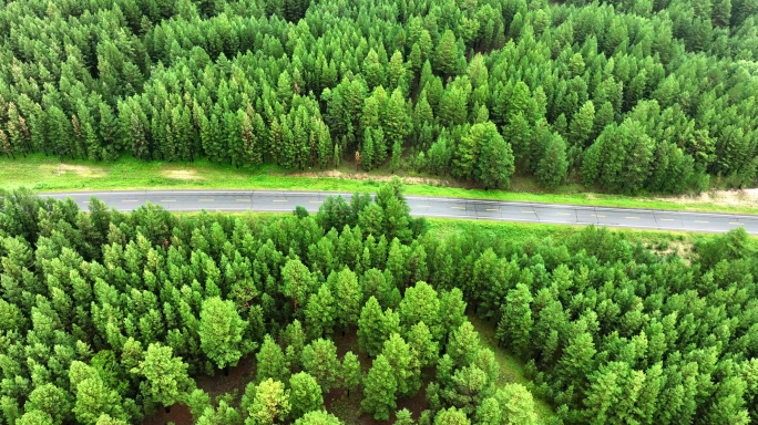 森林公路汽车行驶