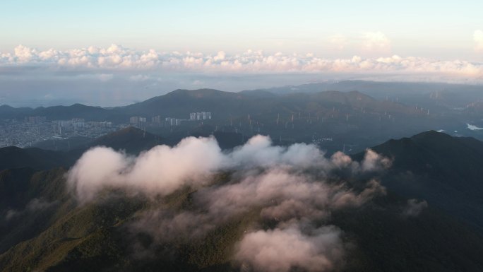 【正版素材】深圳田头山自然保护区