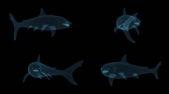 鲨鱼恐怖 恐龙时代 白垩纪远古Fish3