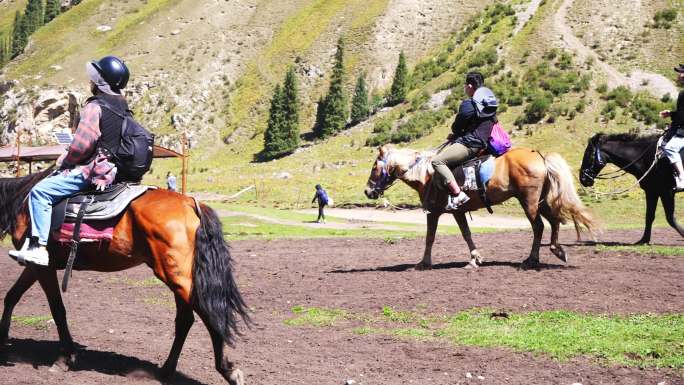 新疆 夏塔 马 骑马 游客 游客骑马
