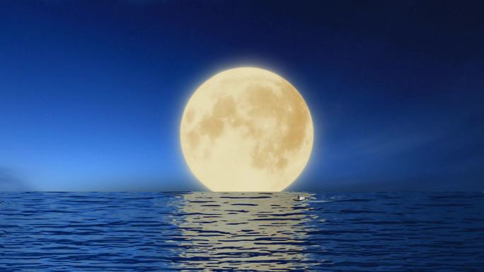海上生明月