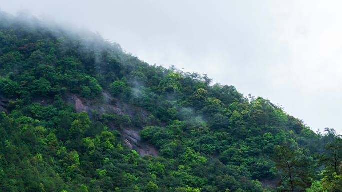 【4K】武夷山桐木国家森林公园云雾延时