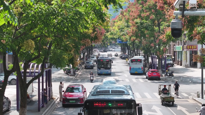 台州温岭老城区扫街