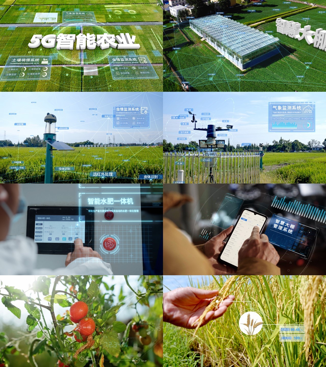 科技农业 智慧农业 智慧设施