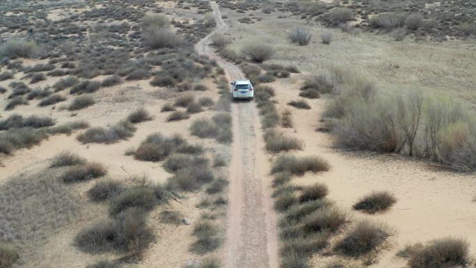 沙漠 汽车 行驶 沙漠行驶