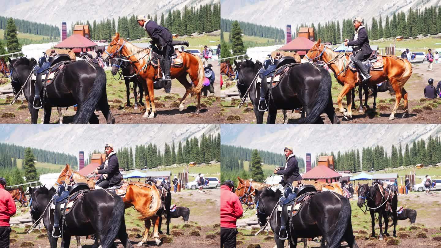 新疆 夏塔 马 骑马 上马 游客 马术
