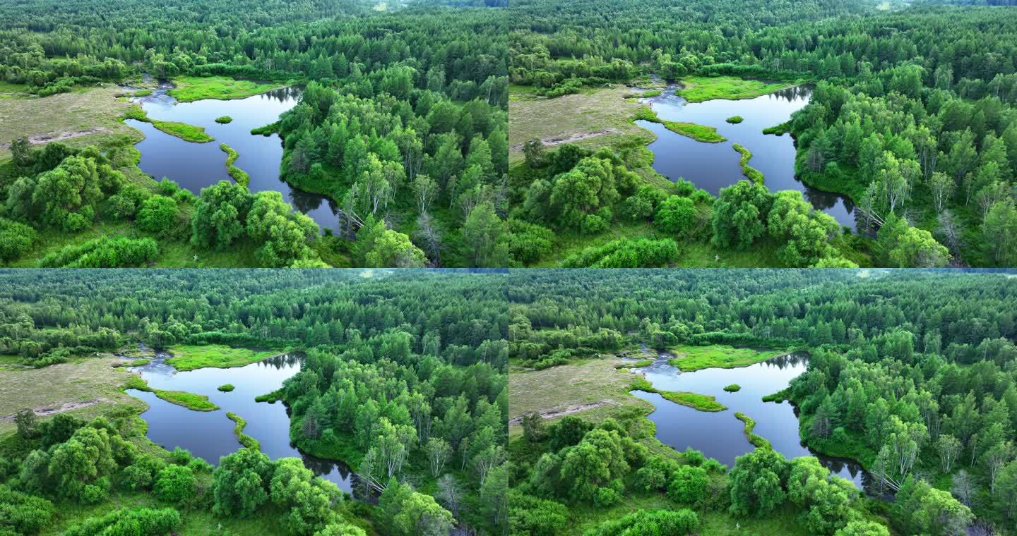 森林湖泊大自然生态环境保护宣传