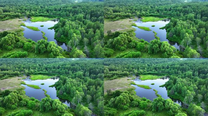 森林湖泊大自然生态环境保护宣传