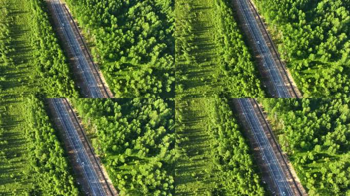 汽车行驶在户外公路