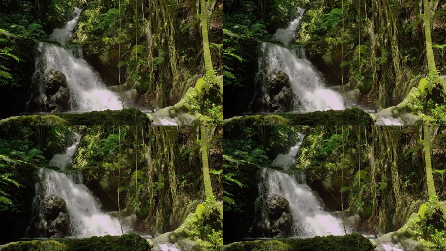 大气磅礴的绿色丛林里的瀑布流水