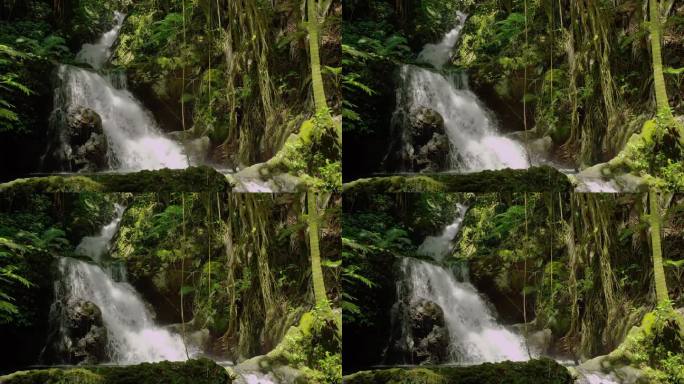 大气磅礴的绿色丛林里的瀑布流水