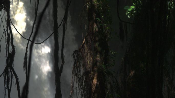 丛林瀑布-高速摄影