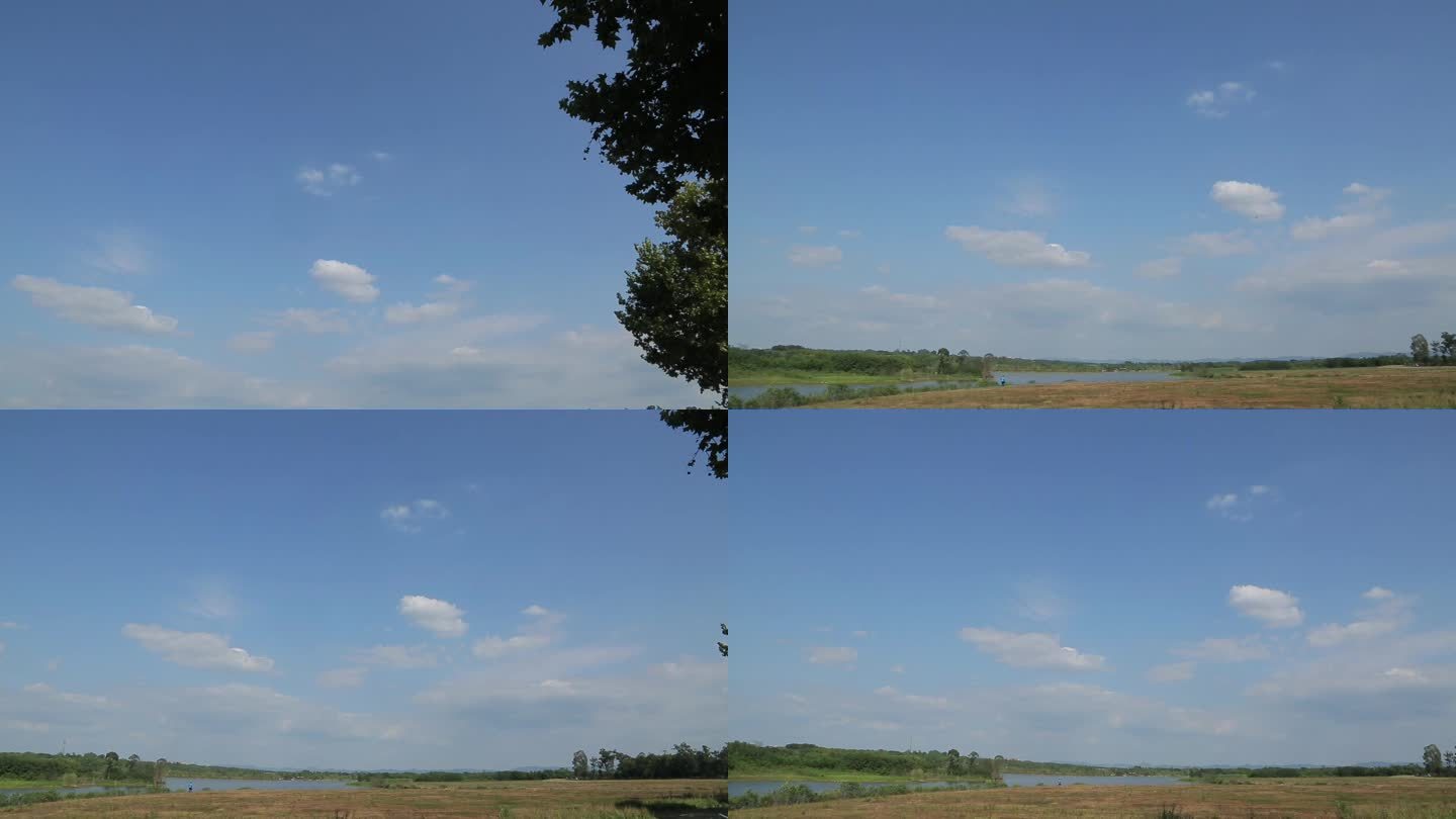 C四川成都湿地天空高清实拍视频
