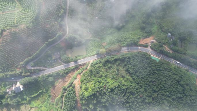 大地云雾风景   唯美仙境