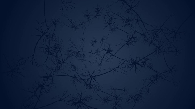 神经系统 树突 髓鞘 突触 轴突医疗动画