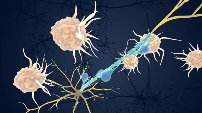 神经元 医学 医疗 髓鞘 免疫系统 动画