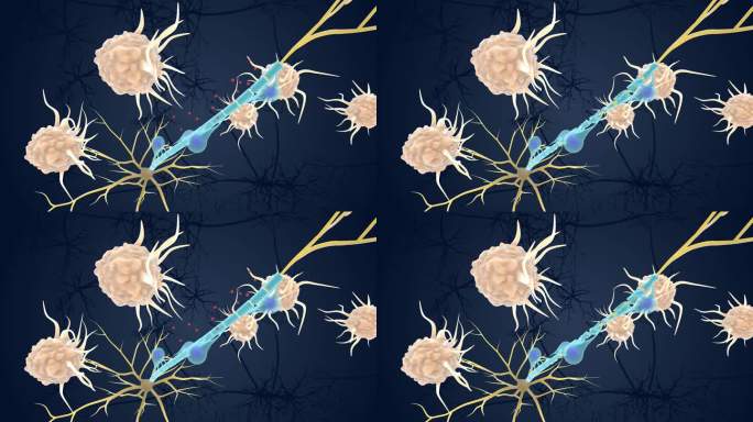 神经元 医学 医疗 髓鞘 免疫系统 动画