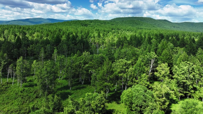 航拍户外绿色生态环境森林草地风景