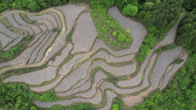 航拍山区地膜