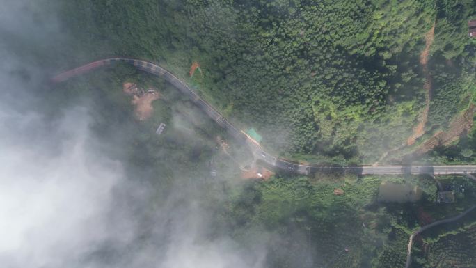 大地云雾风景   唯美仙境