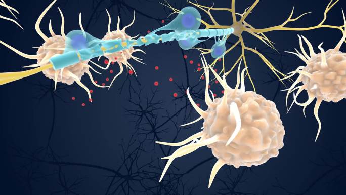 神经元 免疫系统 神经系统 展示3D动画
