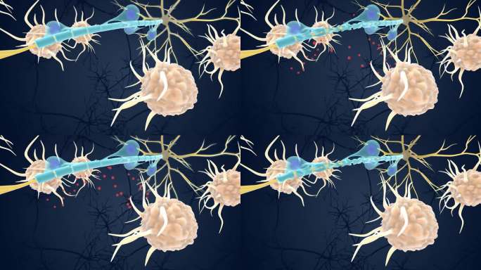 神经元 免疫系统 神经系统 展示3D动画