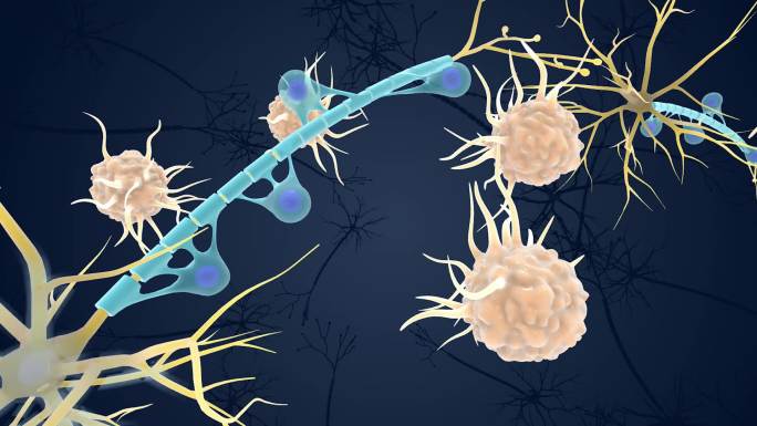 神经元 医学 医疗 髓鞘 免疫系统 动画
