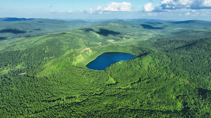 航拍森林湖泊大自然风景北方森林林区