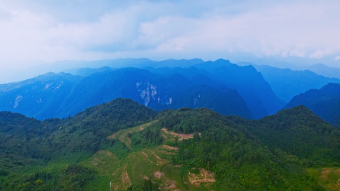 芦山县灵鹫山