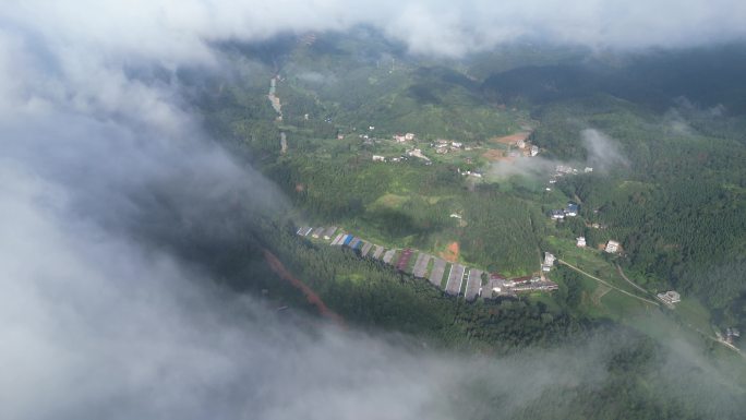 大地云雾风景   唯美仙境