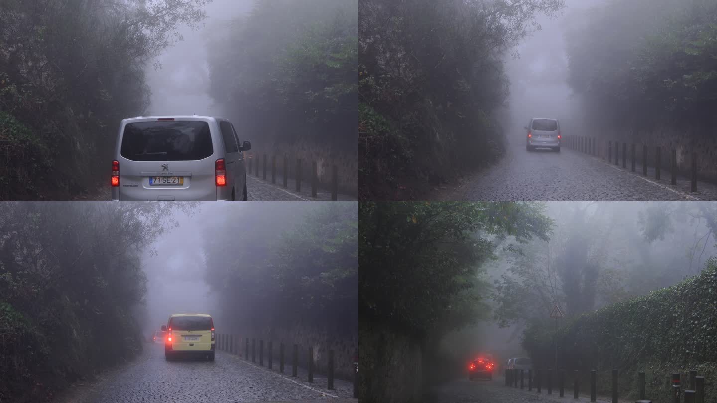 国外汽车在大雾森林里行驶