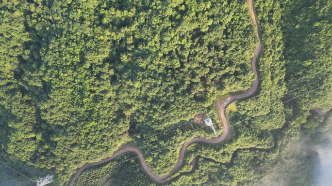 大地云雾风景   唯美仙境