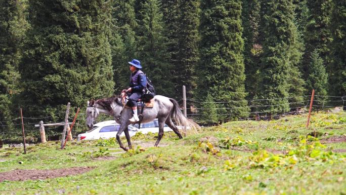 新疆 夏塔 马 骑马 游客 游客骑马