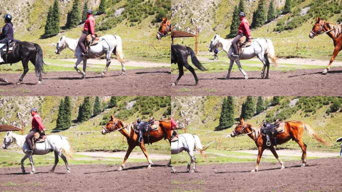 新疆 夏塔 马 骑马 游客 游客骑马