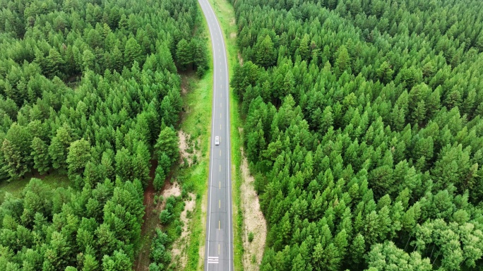 汽车行驶在森林公路