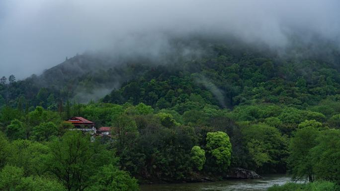 【4K】武夷山春天云雾涌动延时