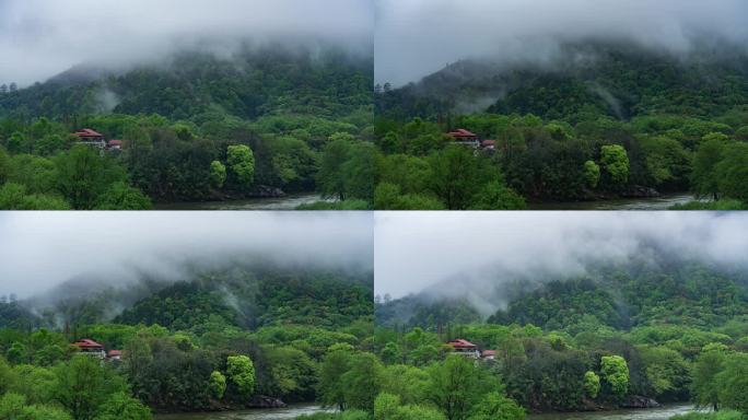 【4K】武夷山春天云雾涌动延时