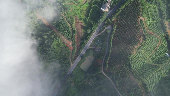 大地云雾风景   唯美仙境