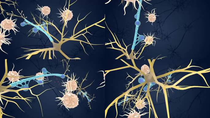 神经组织 神经医学动画 医疗 3D动画
